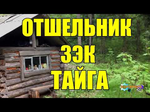 Видео: ОТШЕЛЬНИК | КЛАД В ЛЕСУ | ТАЙГA