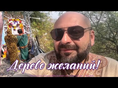 Видео: Vlog 06/Путтапарти/ Ченнелинг у древа желаний/ Невероятный аэропорт Бангалора.