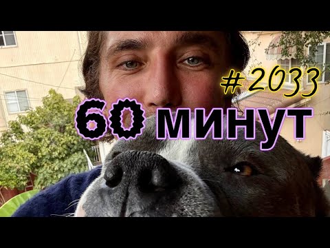 Видео: РУСЯ IN AMERiCA. в прямом эфире!