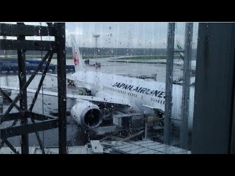 Видео: [Озвучка by SZ] Где "Перелёт" NoMatterYet?