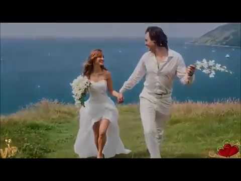 Видео: Шпехт Андрей Милая моя ( муз. и сл. А.Шпехт)