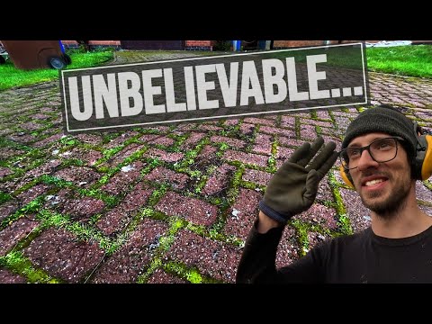 Видео: Миссия по удалению мха: сможем ли мы пережить эту изнурительную уборку подъездной дороги!?
