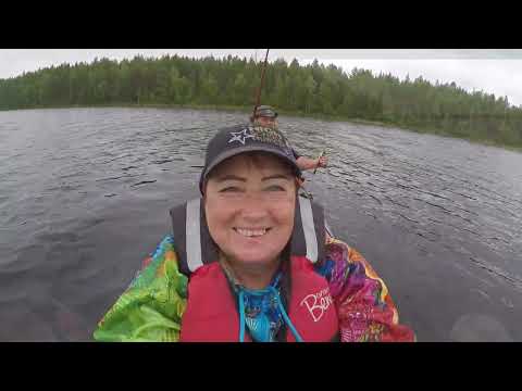 Видео: 4 ЧАСТЬ  ОКУНЬ ПОД МАЙОНЕЗОМ