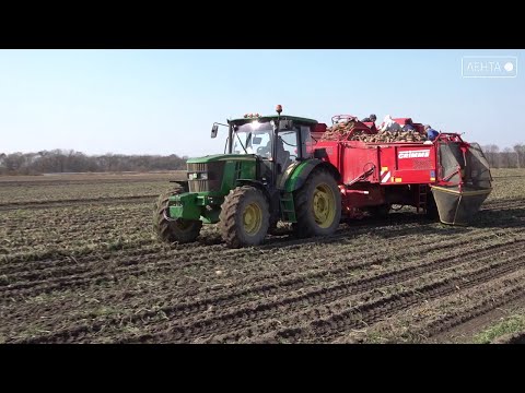 Видео: Урожай по осени считают