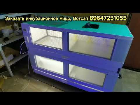 Видео: Вес моих самцов перепелов в 47 дней!!!. Современный брудер на 250 голов.