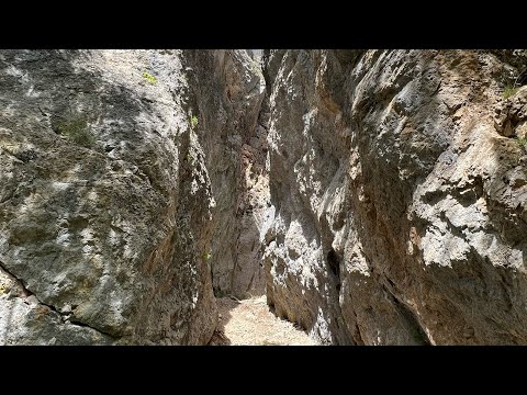 Видео: ПВД 2022 Хамышки День 2 - гора Раскол