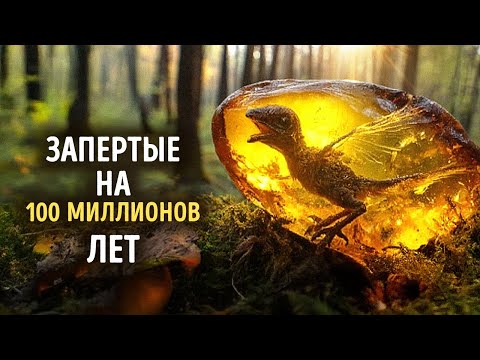 Видео: Самые странные вещи, когда-либо найденные замороженными в янтаре