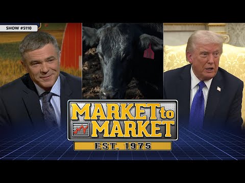 Видео: От рынка к рынку — 24 октября 2025 г.