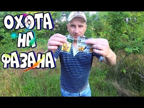 Видео: ОХОТА НА ФАЗАНА С КРЮЧКОМ