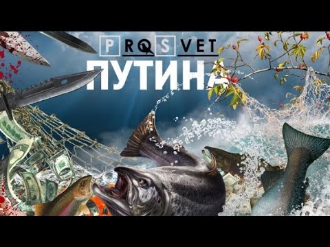 Видео: БРАКОНЬЕРЫ САХАЛИНА