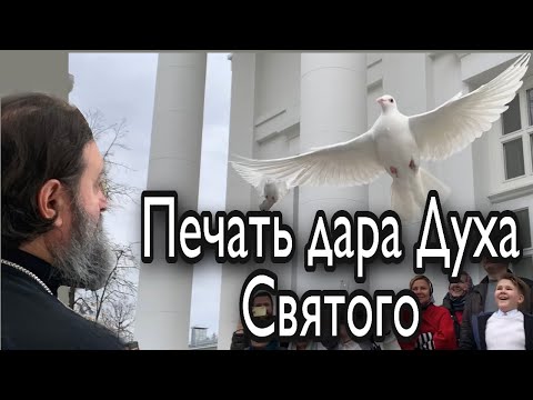 Видео: Онлайн-беседа. Протоиерей  Андрей Ткачёв.