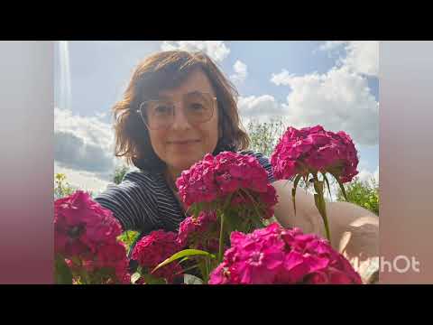Видео: #44 ДАЧА  Июнь 2025Г. УРОЖАЙ,  ПОКОСЫ, ПРОПОЛКИ, МОЙ УЧАСТОК-ПЛАНЫ.