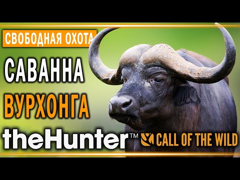 Видео: theHunter Call of the Wild #7 🦁 - Саванна Вурхонга (часть 1) - Свободная Охота