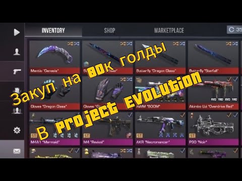 Видео: Самый лучший закуп на 80 к голды в Project Evolution! Обзор моего инвентаря в Project Evolution!