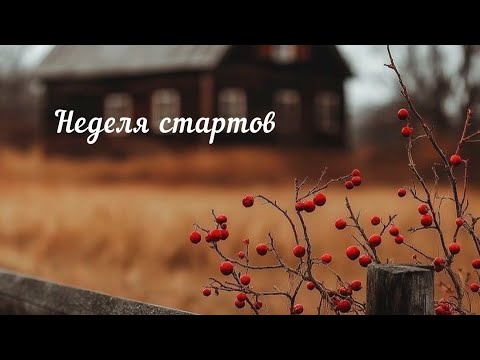Видео: Неделя стартов / Жилет с мухоморами/ Свитер для Бати 