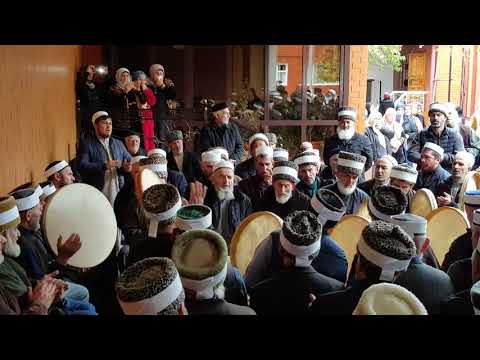 Видео: Зикар Аргун Дакаев Сайд-хьасайн.