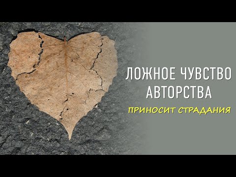Видео: Ложное чувство авторства приносит страдания