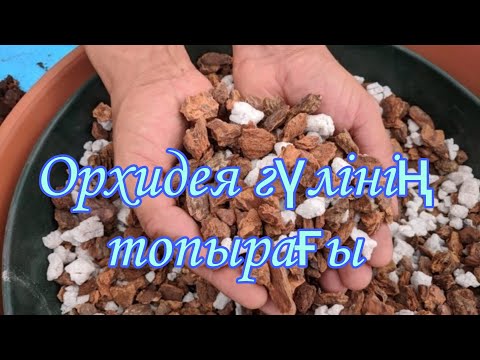 Видео: Орхидея гүлінің топырағын жасау.Орхидея гүліне топырақ.Орхидея гүлін өлтіретін топырақ.Гүлдер әлемі