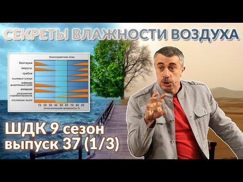 Видео: Секреты влажности воздуха - Доктор Комаровский