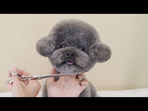 Видео: Я думала, ты кукла.