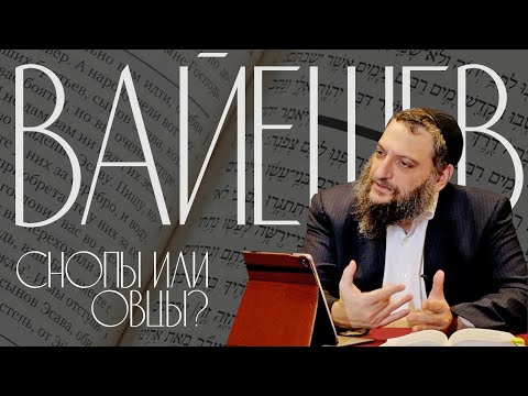 Видео: Двар Тора. Вайешев: Снопы или овцы?