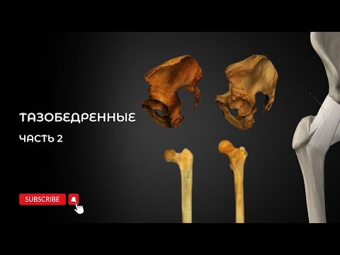 Видео: Тест Крейга, разбор результатов. Часть 2