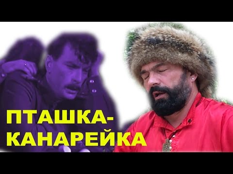 Видео: Лети, пташка канарейка