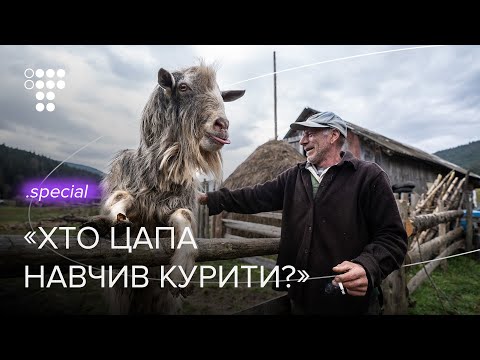 Видео: «Світла нема, скучно». Як роками живе село без світла та зв'язку / hromadske