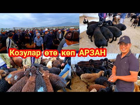Видео: Баяман малБазары, Колузар жык кириптир мал көп👍.#кадамжаймедиа #малбазар #гисар #kg #баткен