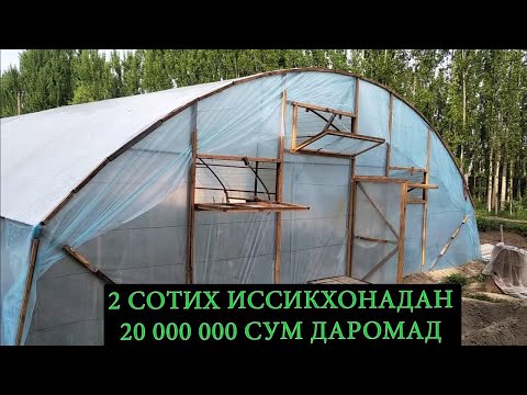 Видео: 2-СОТИХДАН 20 МИИЛЛИОН СУМ ДАРОМАД