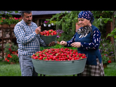 Видео: Клубничный пирог и джем | Аромат лета из деревни