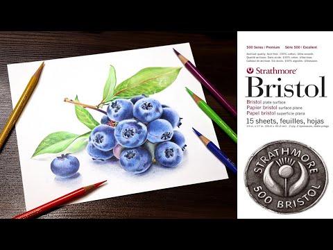 Видео: Strathmore Bristol  ✔ Обзор бумаги для рисования  ✎ Рисунок голубики цветными карандашами