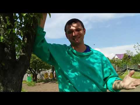 Видео: Эстафета ))