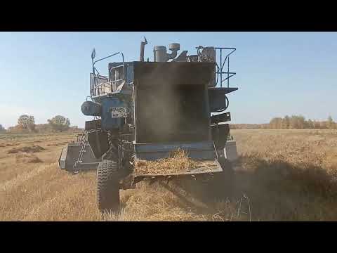 Видео: Впервые молотим лён! И как там насос-дозатор? №34