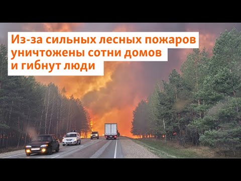 Видео: Из-за сильных лесных пожаров уничтожены сотни домов и гибнут люди | Сибирь.Реалии