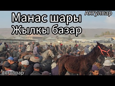 Видео: Бүгүн 25 октября 2025 Манас шары жылкы базар #атбазар #жылкыбазар #rek #horse #арабскиелошади 