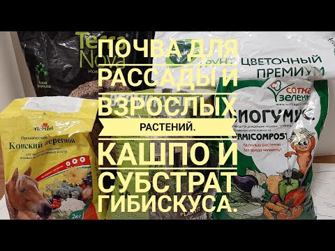 Видео: Почва для рассады и взрослых растений. Выбор кашпо. Субстрат для гибискуса.