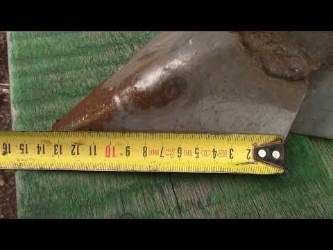 Видео: Розміри вухастих підгортачів