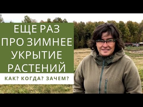 Видео: Ещё раз про зимнее укрытие растений  /Наталья Самойленко/