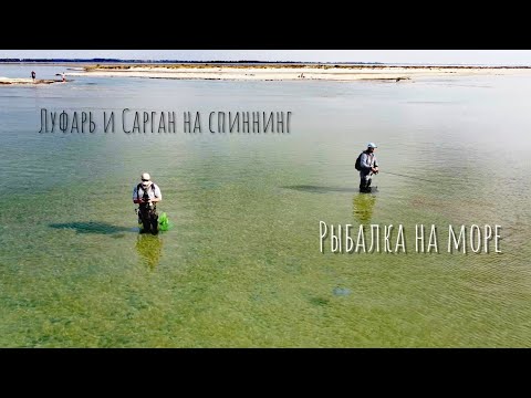 Видео: Сарган и Луфарь на Пляже. Рыбалка на Чёрном море. Лазурное.