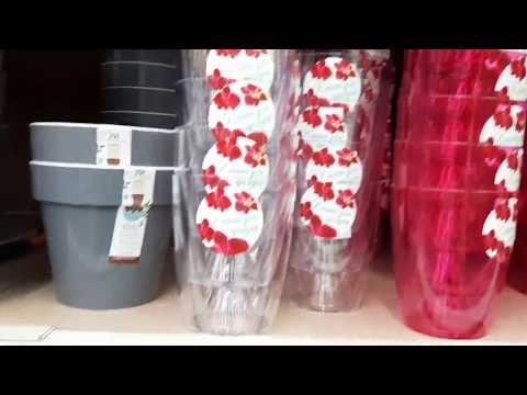 Видео: Обзор орхидей в магазине Леруа-Мерлен города Ставрополя.