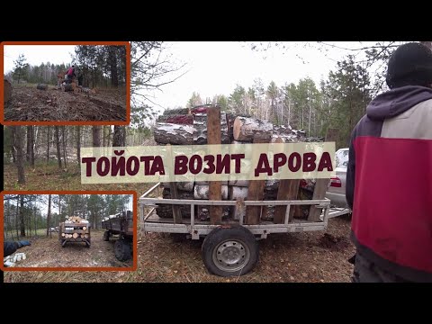 Видео: Дрова возят на иномарке. Заготовка дров в #деревне #Окунево.