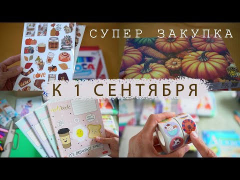 Видео: Закупки к школе | Обзор покупок РАБОЧИХ ТЕТРАДЕЙ и канцелярии для детей