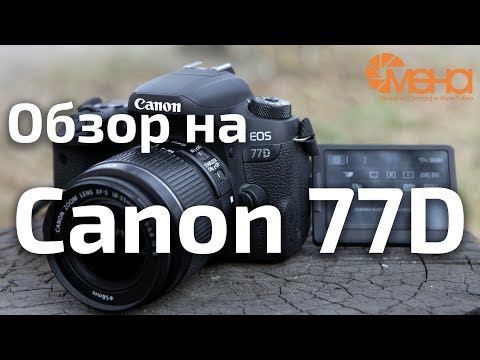Видео: Обзор на Canon 77D (лучший фотоаппарат для новичка)