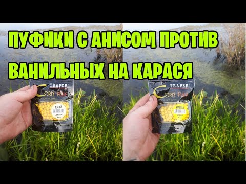 Видео: ПУФИКИ С АНИСОМ ПРОТИВ ВАНИЛЬНЫХ. КАРАСЬ НА ДОНКУ В ЗАРОСШЕМ ВОДОЁМЕ