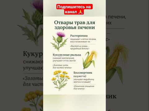 Видео: Отвары    трав   для  здоровья  печени