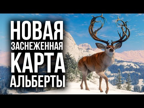 Видео: НОВАЯ Заснеженная Карта Альберты в игре theHunter Call of the Wild Mr. Cat.