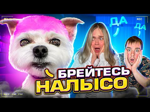 Видео: 24 ЧАСА ГОВОРИМ ДА ЩЕНКУ БИЛЛИ БОЮ! ЗРЯ СОГЛАСИЛИСЬ!