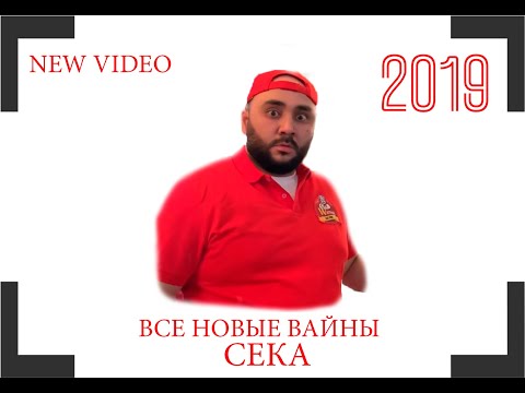 Видео: ВСЕ НОВЫЕ ВАЙНЫ СЕКА - 2019 Отмечай ревнивых ALL NEW SECA WINES-Celebrate jealous