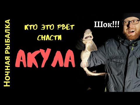 Видео: АКУЛА!! Ночная рыбалка! Мы поймали Акулу! Рыбалка в Норвегии! Зимняя рыбалка 2019-2020! Камбала